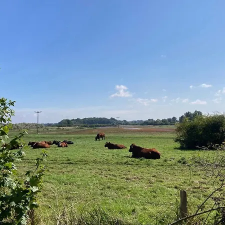 Bades Huk Haus 15 58 - Eg Hohen Wieschendorf